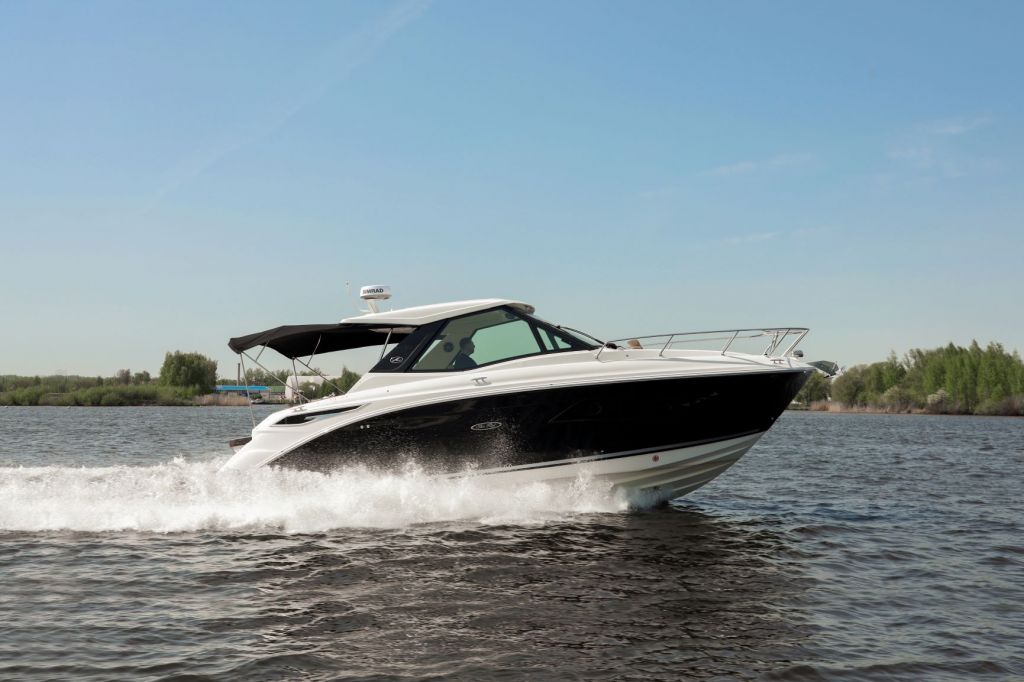 Searay-anons320.jpeg Searay-anons320.jpeg