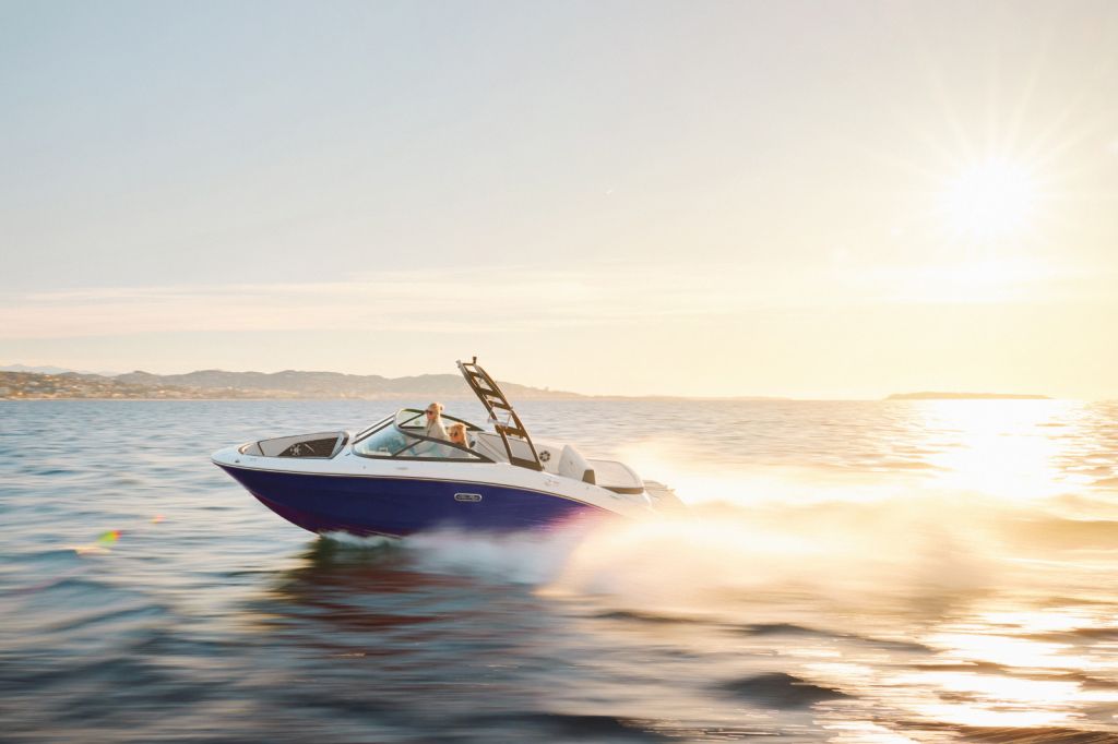 Sea Ray 210 SDX.jpeg