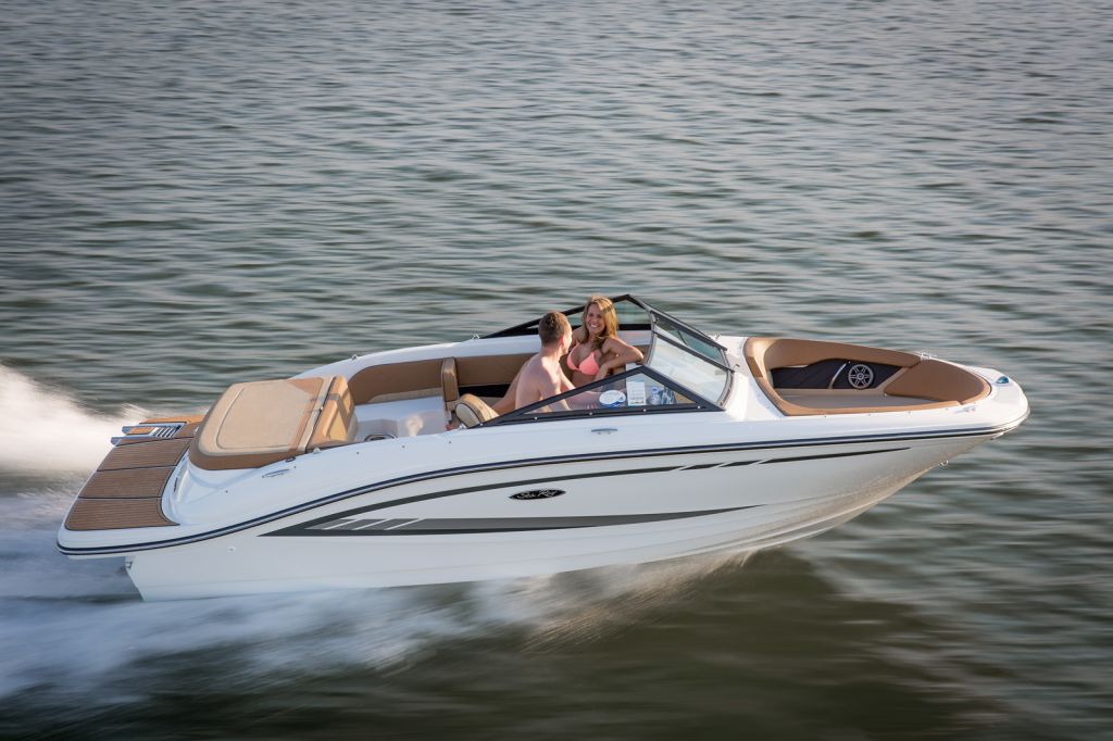 Sea Ray 190 2021.jpeg Sea Ray 190 2021.jpeg