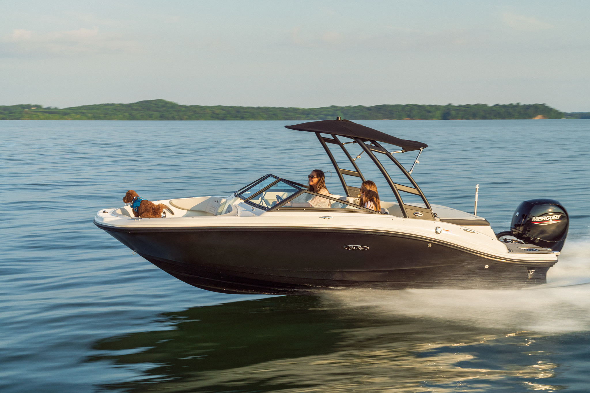 2024-SPX-190-Outboard-SPO190-running-port-bow-dog-00840-X4.jpg 2024-SPX-190-Outboard-SPO190-running-port-bow-dog-00840-X4.jpg