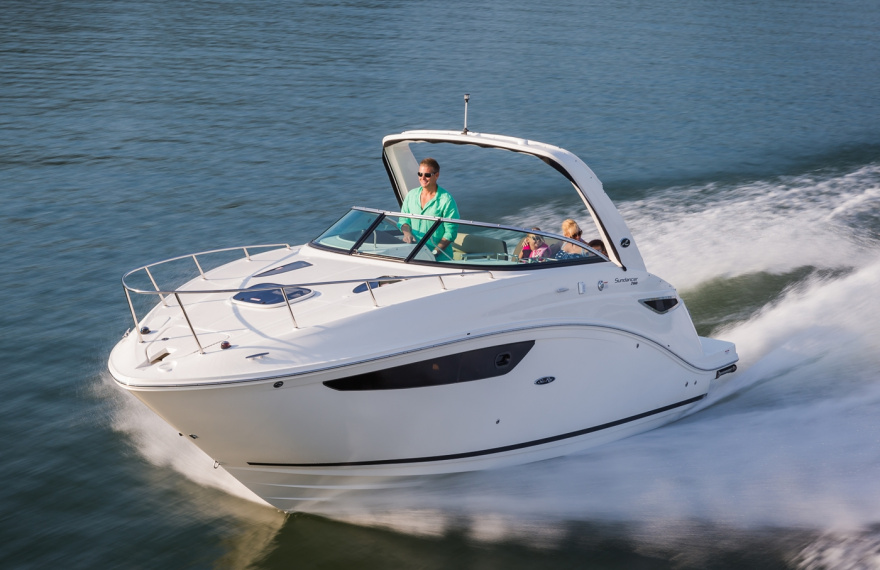 Sundancer 265/690